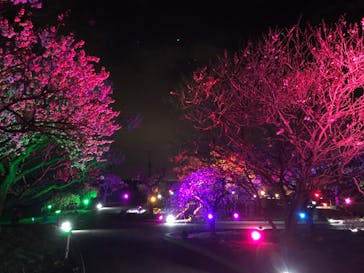 せんだい農業園芸センター　みどりの杜に投稿された画像（2022/4/3）