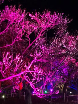 せんだい農業園芸センター　みどりの杜に投稿された画像（2022/4/3）