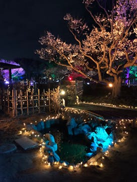 せんだい農業園芸センター　みどりの杜に投稿された画像（2022/4/3）