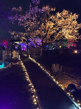 せんだい農業園芸センター　みどりの杜に投稿された画像（2022/4/3）