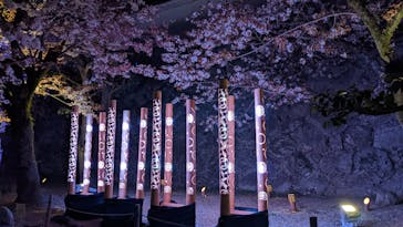 姫路城（イベント）に投稿された画像（2022/4/3）