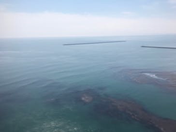 松島熱気球・パラグライダー体験に投稿された画像（2022/4/3）