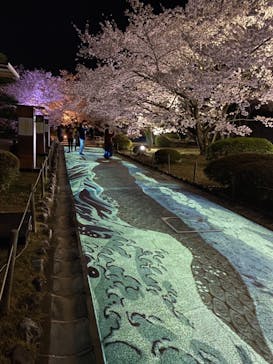 姫路城（イベント）に投稿された画像（2022/4/3）