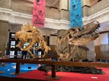 国立科学博物館　特別企画展「ポケモン化石博物館」に投稿された画像（2022/4/3）
