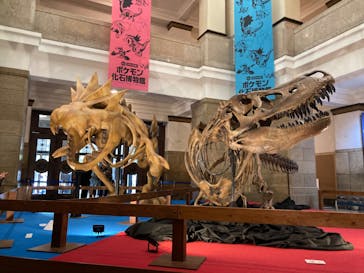 国立科学博物館　特別企画展「ポケモン化石博物館」に投稿された画像（2022/4/3）