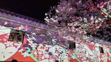 姫路城（イベント）に投稿された画像（2022/4/3）