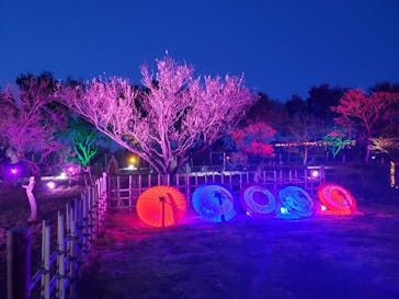 せんだい農業園芸センター　みどりの杜に投稿された画像（2022/4/3）