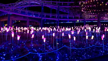 ひらかたパークに投稿された画像（2022/4/3）