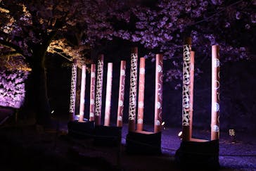 姫路城（イベント）に投稿された画像（2022/4/3）