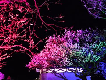 せんだい農業園芸センター　みどりの杜に投稿された画像（2022/4/3）