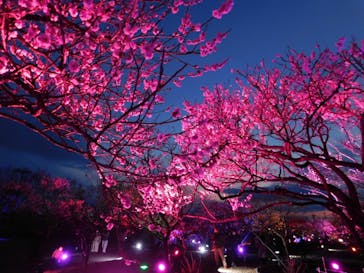 せんだい農業園芸センター　みどりの杜に投稿された画像（2022/4/3）