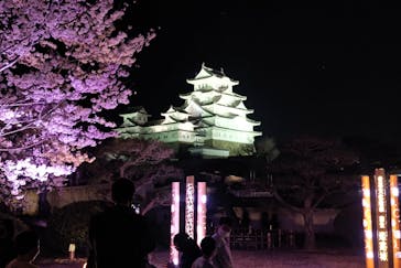 姫路城（イベント）に投稿された画像（2022/4/3）