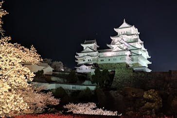 姫路城（イベント）に投稿された画像（2022/4/3）