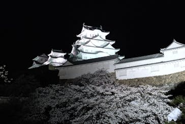 姫路城（イベント）に投稿された画像（2022/4/3）