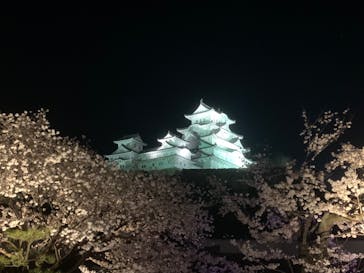 姫路城（イベント）に投稿された画像（2022/4/3）