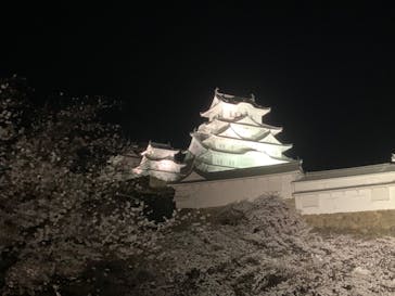 姫路城（イベント）に投稿された画像（2022/4/3）