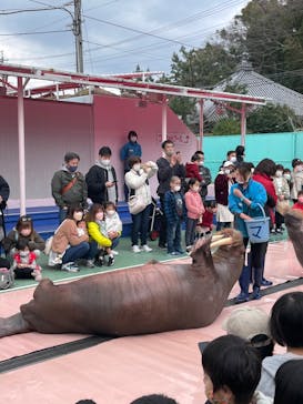 ゼロ距離水族館 伊勢シーパラダイスに投稿された画像（2022/4/3）