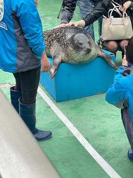 ゼロ距離水族館 伊勢シーパラダイスに投稿された画像（2022/4/3）