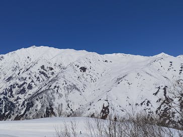 Hakuba47ウィンタースポーツパークに投稿された画像（2022/4/3）