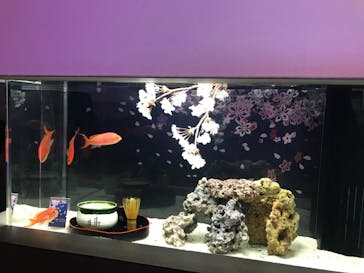 マクセル アクアパーク品川に投稿された画像（2022/4/3）