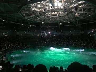 マクセル アクアパーク品川に投稿された画像（2022/4/3）