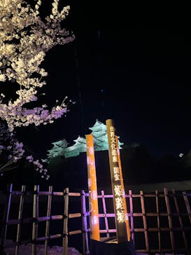 姫路城（イベント）に投稿された画像（2022/4/3）