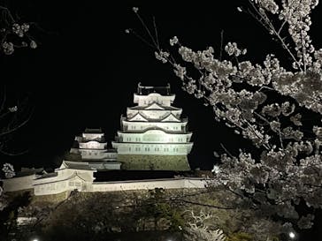 姫路城（イベント）に投稿された画像（2022/4/3）