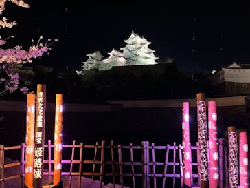 姫路城（イベント）に投稿された画像（2022/4/3）