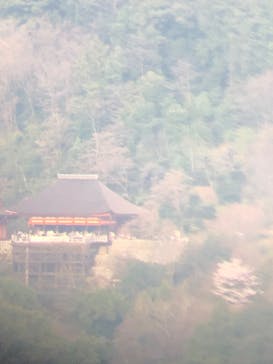 ニデック京都タワーに投稿された画像（2022/4/3）