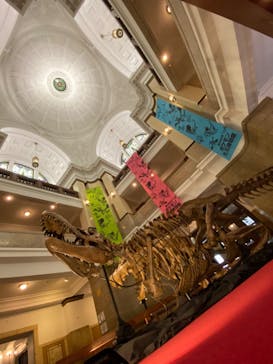 国立科学博物館　特別企画展「ポケモン化石博物館」に投稿された画像（2022/4/3）