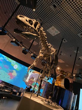 国立科学博物館　特別企画展「ポケモン化石博物館」に投稿された画像（2022/4/3）