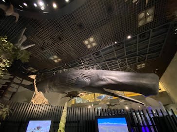 国立科学博物館　特別企画展「ポケモン化石博物館」に投稿された画像（2022/4/3）