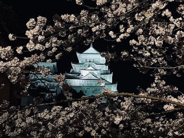 姫路城（イベント）に投稿された画像（2022/4/3）