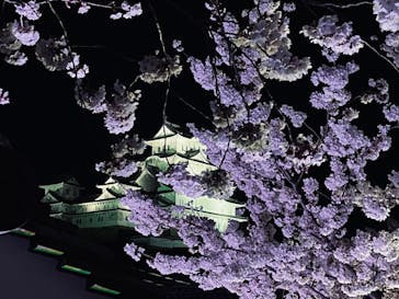 姫路城（イベント）に投稿された画像（2022/4/3）