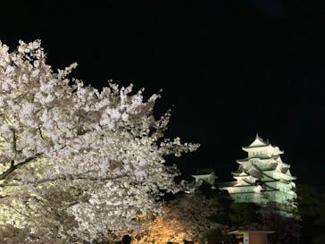 姫路城（イベント）に投稿された画像（2022/4/3）