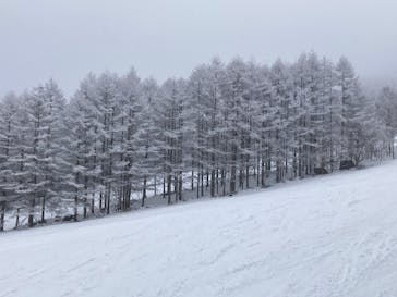 しらかば2in1スキー場に投稿された画像（2022/4/3）
