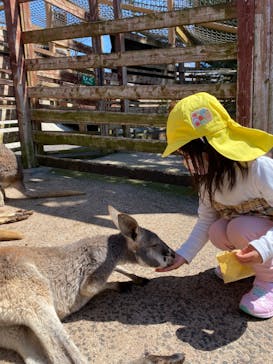 秋吉台自然動物公園 サファリランドに投稿された画像（2022/4/3）