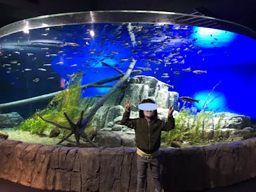 サケのふるさと 千歳水族館に投稿された画像（2022/4/3）