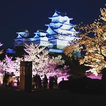 姫路城（イベント）に投稿された画像（2022/4/3）