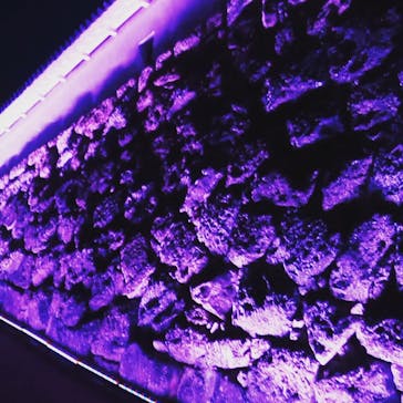 姫路城（イベント）に投稿された画像（2022/4/3）