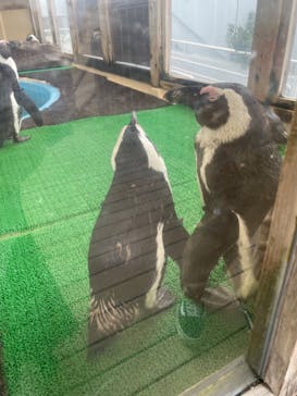 名古屋港水族館に投稿された画像（2022/4/4）