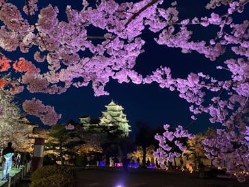 姫路城（イベント）に投稿された画像（2022/4/4）