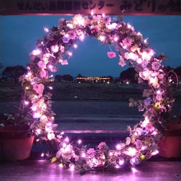 せんだい農業園芸センター　みどりの杜に投稿された画像（2022/4/4）