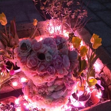 せんだい農業園芸センター　みどりの杜に投稿された画像（2022/4/4）