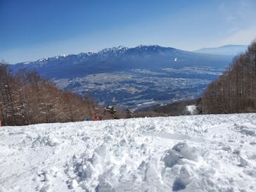 富士見パノラマリゾートに投稿された画像（2022/4/4）