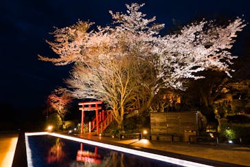 伊豆パノラマパークに投稿された画像（2022/4/4）