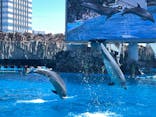 名古屋港水族館に投稿された画像（2022/4/4）