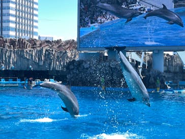 名古屋港水族館に投稿された画像（2022/4/4）