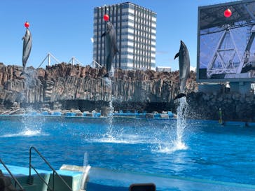 名古屋港水族館に投稿された画像（2022/4/4）