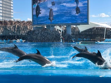 名古屋港水族館に投稿された画像（2022/4/4）